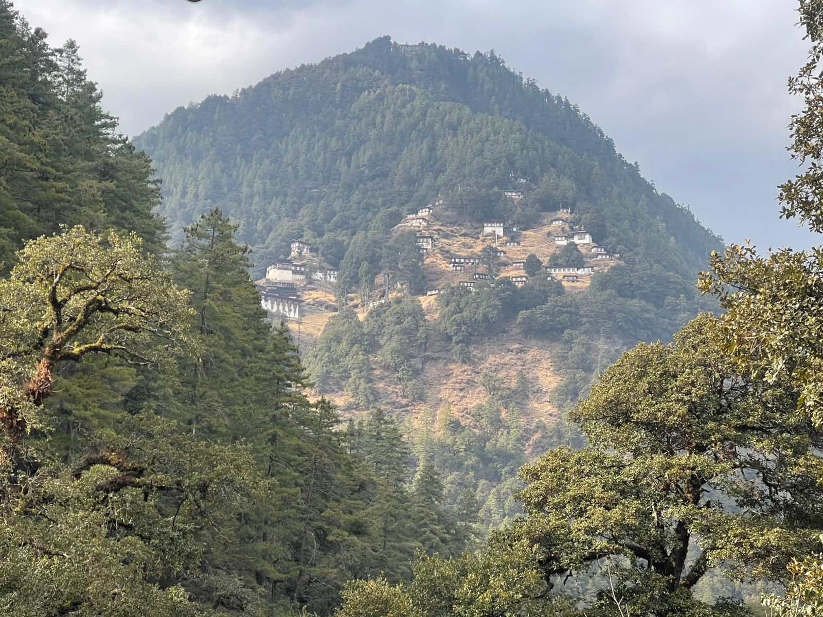 Bhutan Landscape 2